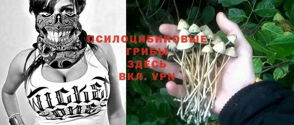 гашиш Абаза