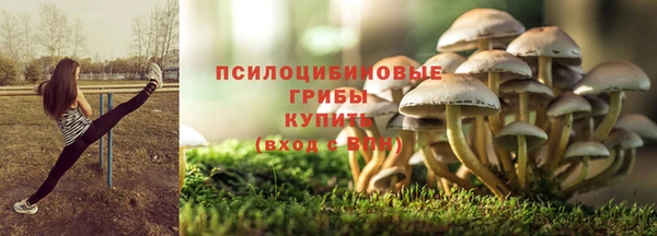 стафф Абдулино