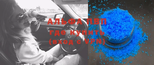 сатива Абинск