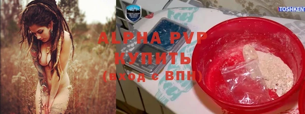 сатива Абинск