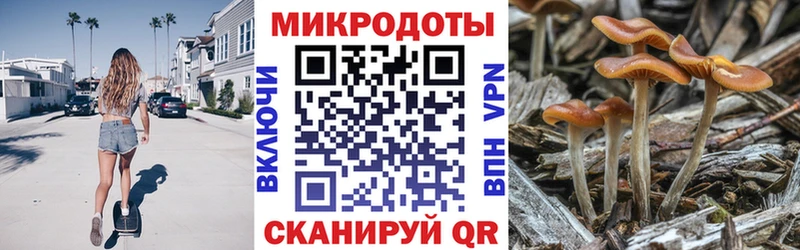 Галлюциногенные грибы Psilocybe  Щёлково 